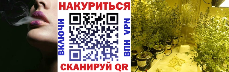 купить наркотики цена  Удомля  Марихуана семена 